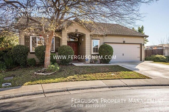 Building Photo - 967 Seabough Ct