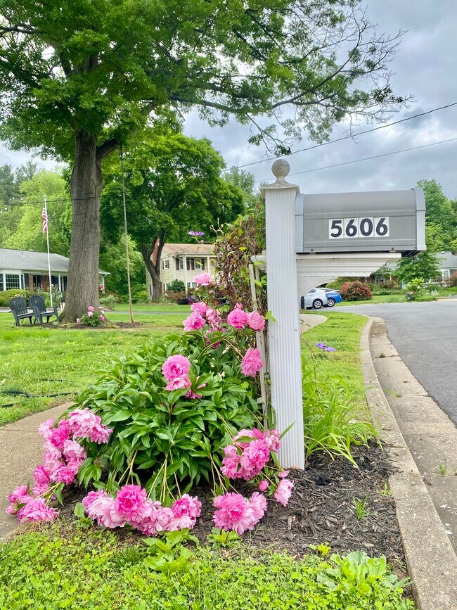 Building Photo - 5606 Farmwood Ct