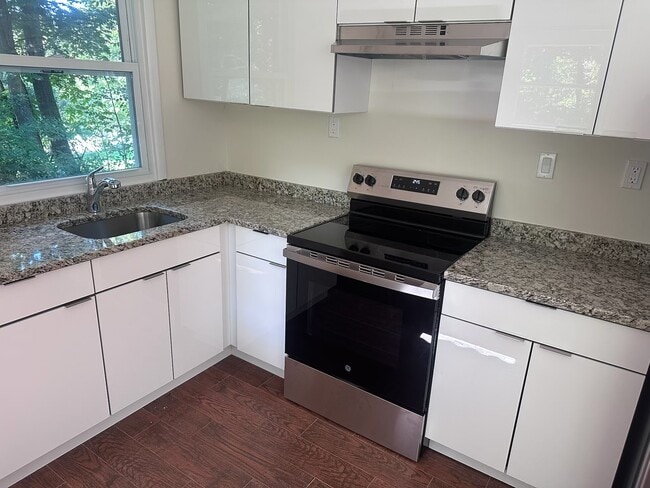European cabinets/granite countertop/stainless appliances - 105 Red Mill Rd