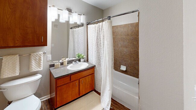 Altitude-Baton-Rouge-4-Habitaciones-4-Baños-Baño 1 - Altitude Baton Rouge