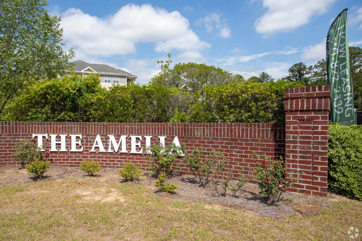 Primary Photo - The Amelia