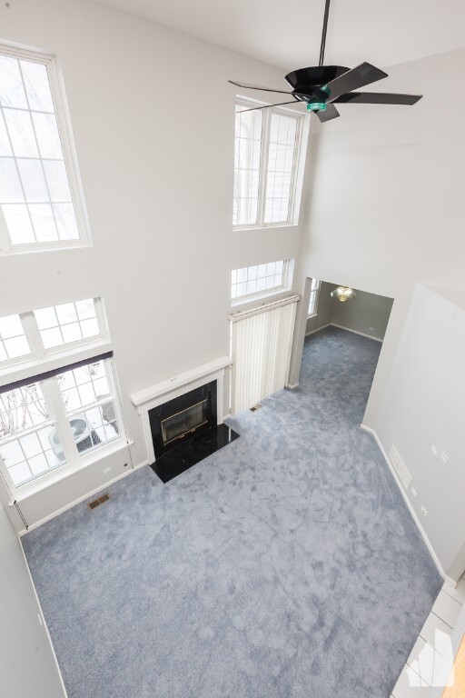 Building Photo - 2991 Belle Ln