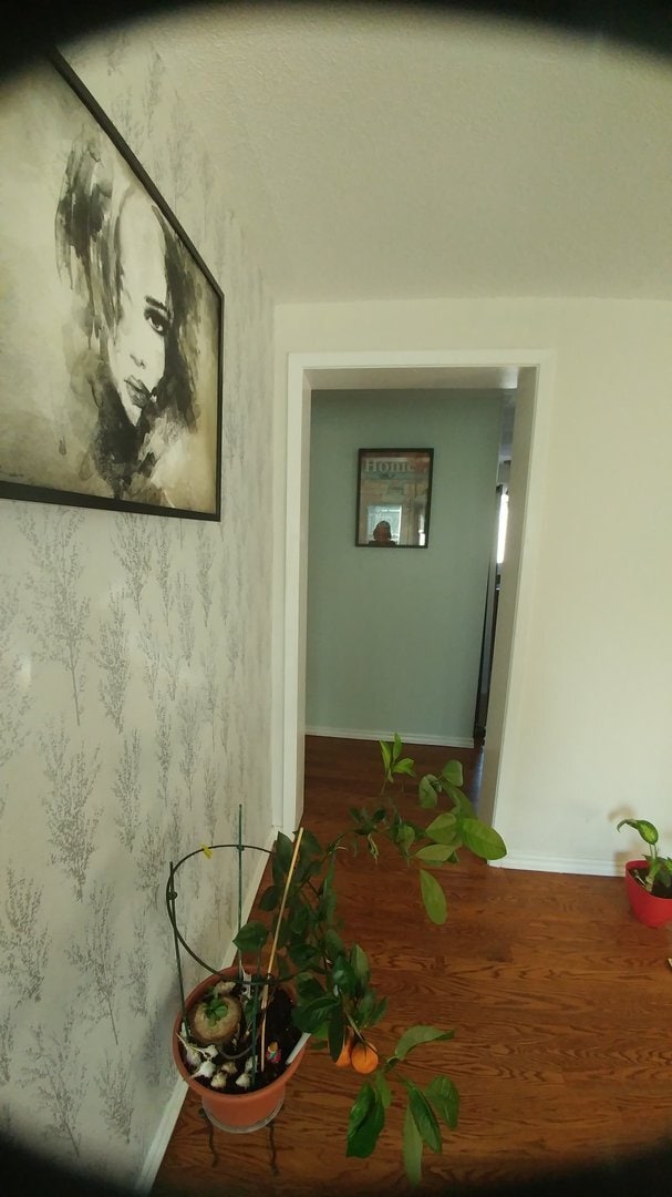 Building Photo - 2629 Southvale Cres