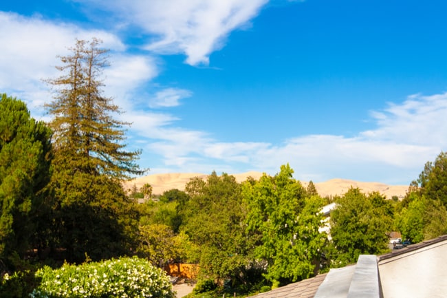 Photo - 1519 Farm Bureau Rd Townhome