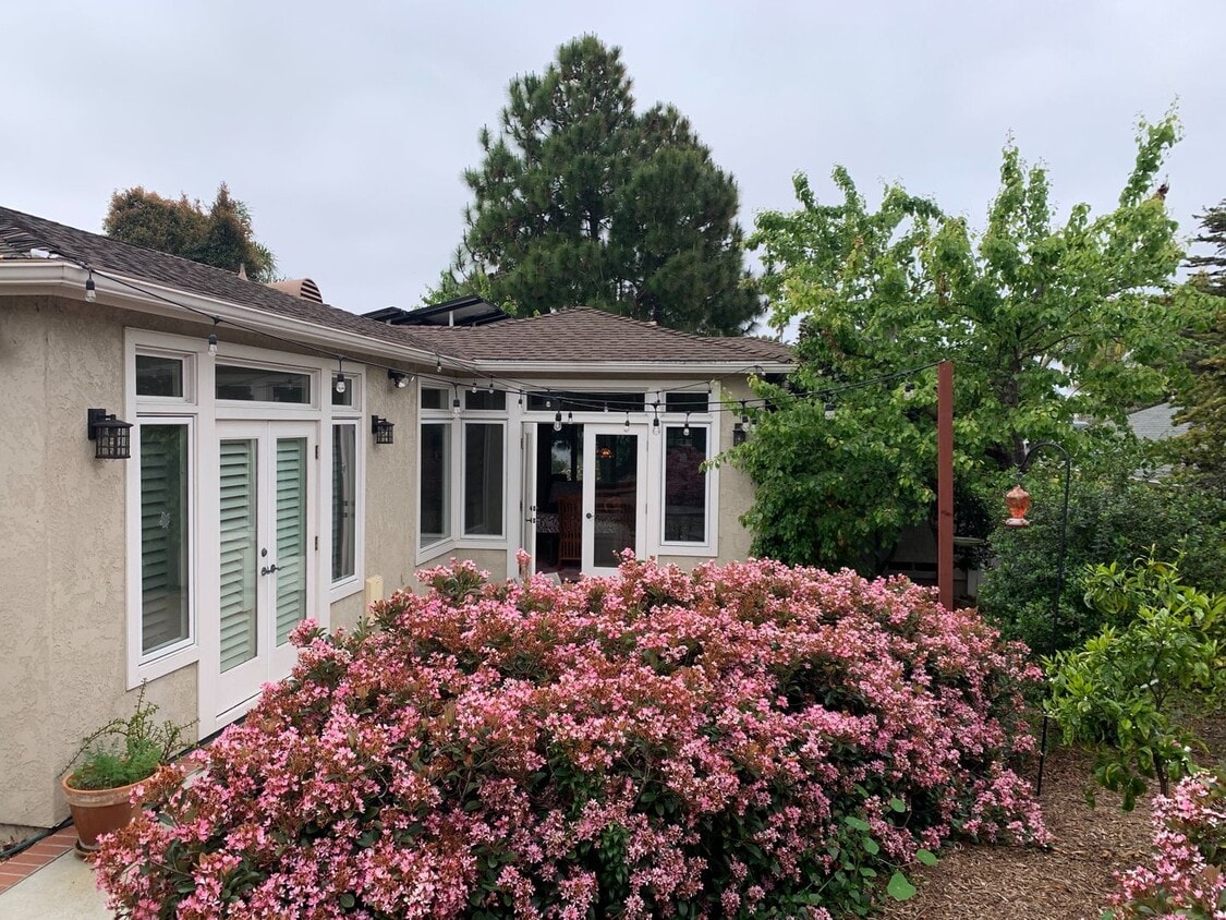 Primary Photo - Adorable Remodeled 3 Bedroom home in Point...