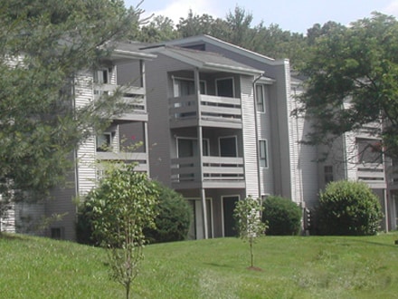 Building Photo - 213 Sutters Mill Ln