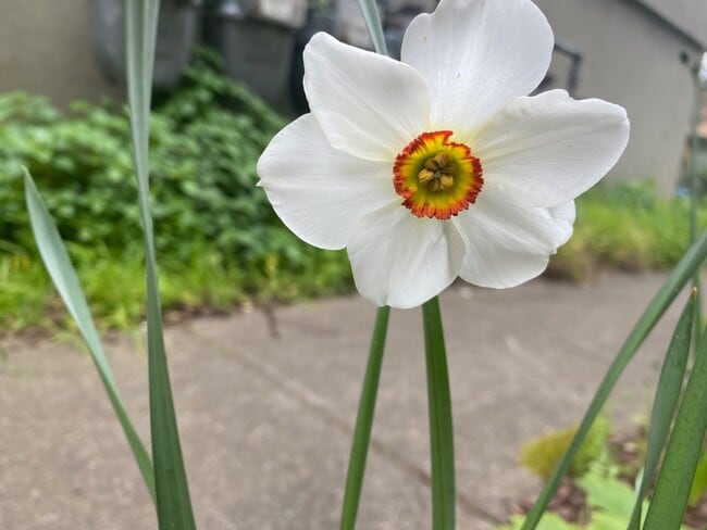 Foto del edificio - 2345 Fulton St