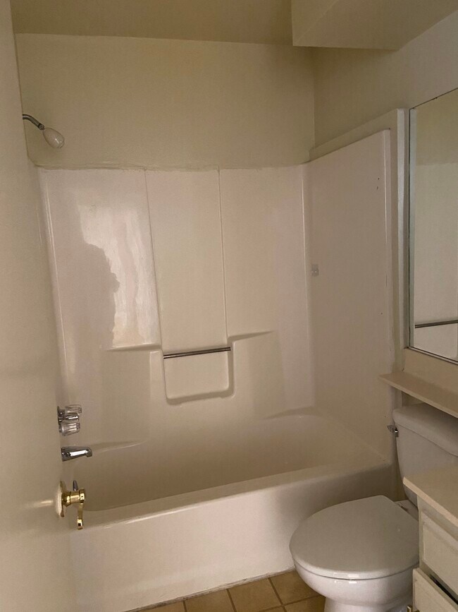 bathroom - 328 E Valencia Ave