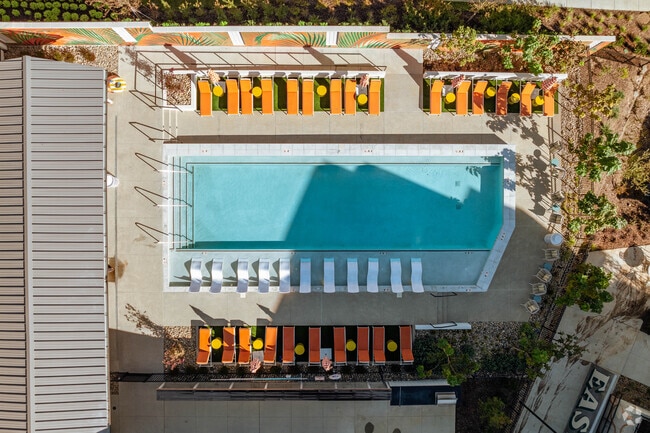 Saltwater Pool - The Station by Alta