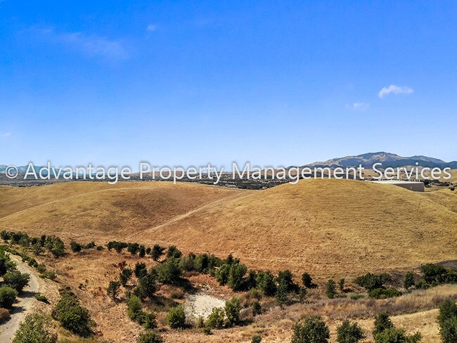 Building Photo - 2176 Mornington Ln