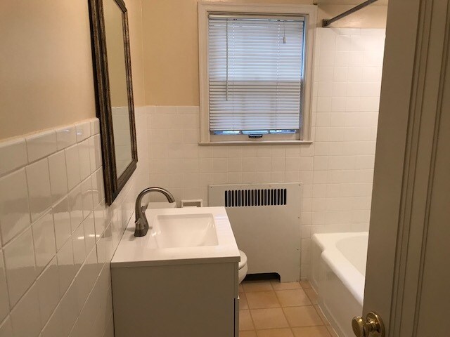 The bathroom has a new vanity and sink and a large closet. - 509 W Marion St