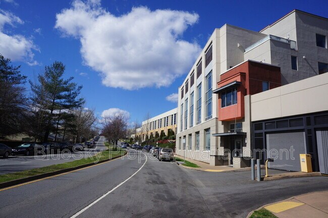 Building Photo - 105 Monticello Ave