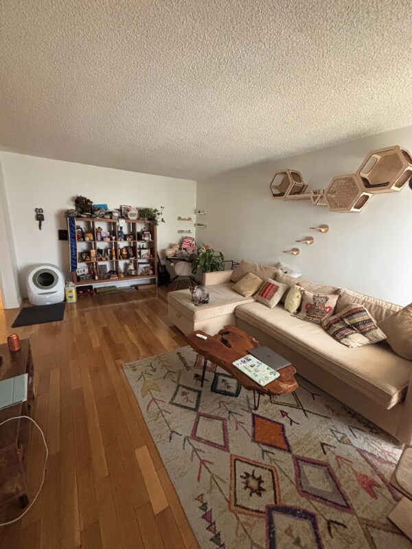 Foto del edificio - 2042 Beachwood Dr