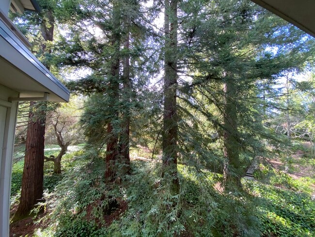 Building Photo - 1100 Sharon Park Dr