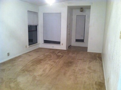 Foto del edificio - Available September 16th. We're not horsin...