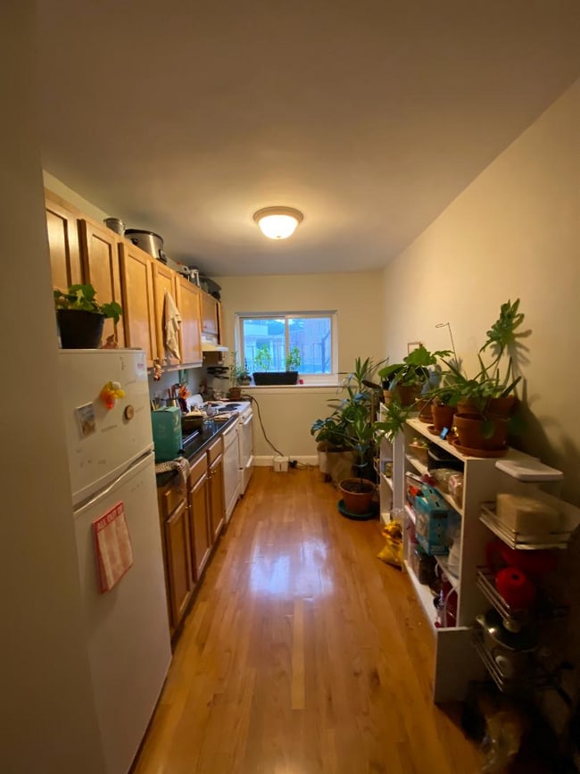 Building Photo - 61 Selkirk Rd