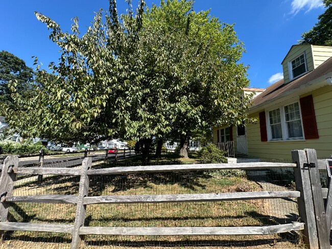 Building Photo - 451 Hamel Ave