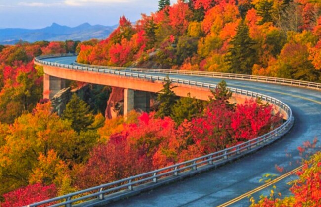 Foto del edificio - 2744 Melrose Ave