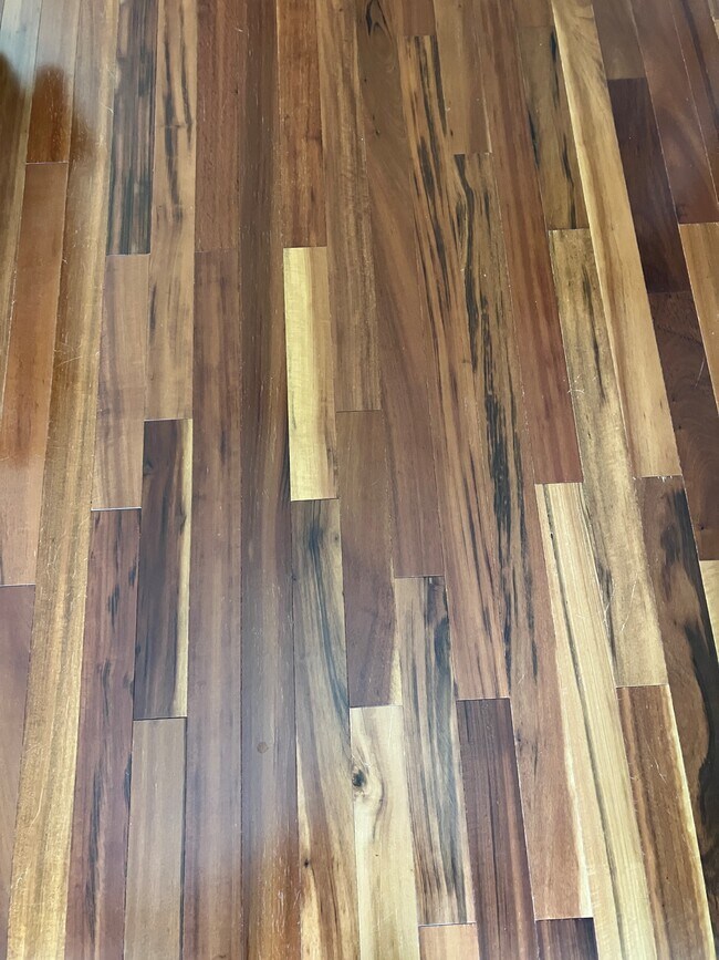 Foto del edificio - 11126 Windsor Place Cir