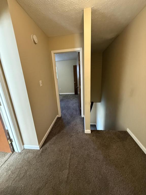 Foto del edificio - 1238 Clear Ridge Ln