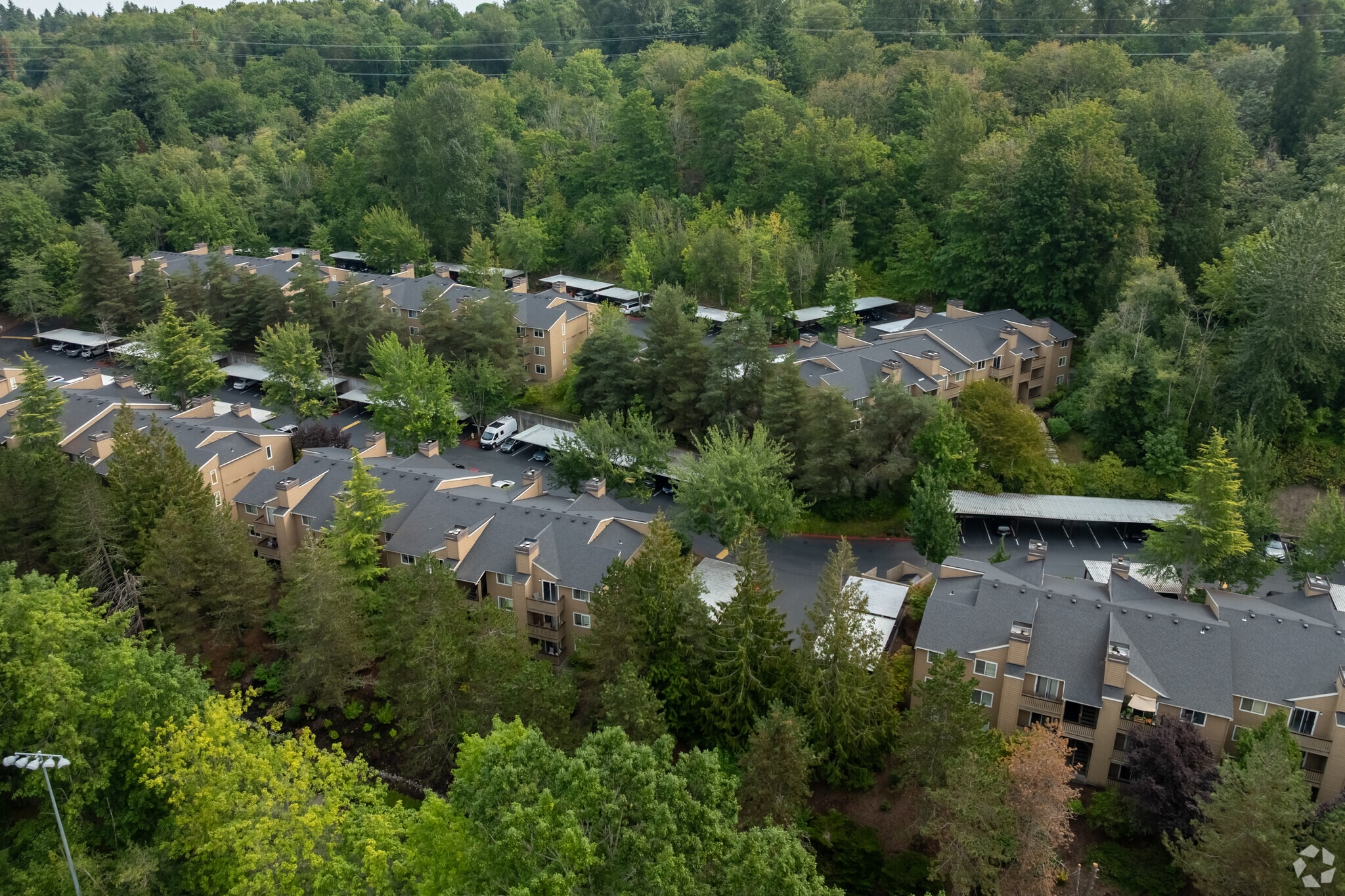 Arbors in Bellevue