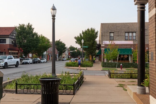 Walk to all the shops and restaurants and Tower Grove Park! - 3232 S Grand Blvd