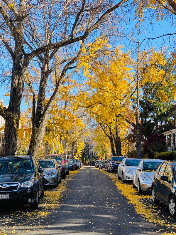 Photo - 1318 Corbin Pl NE (Washington, DC)