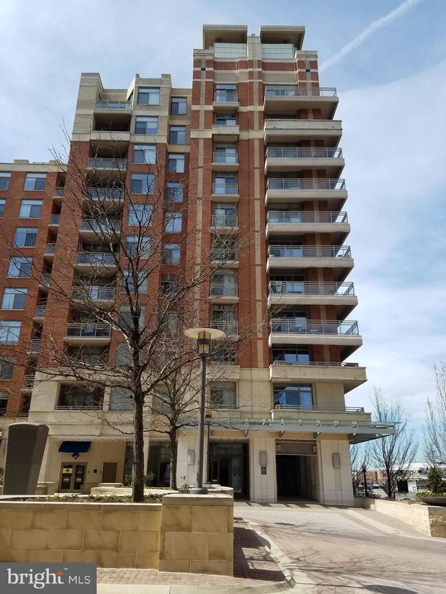 3600 S Glebe Rd Unit 818W, Arlington, VA 22202 Room for Rent in