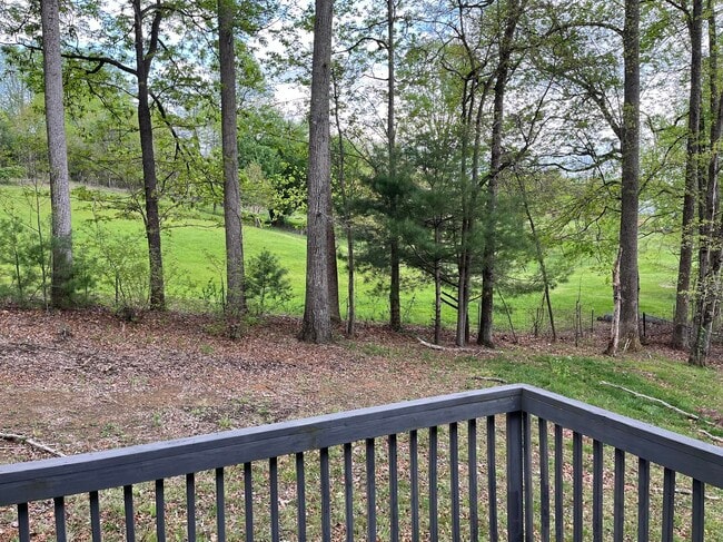 Foto del edificio - 46 Badger Run