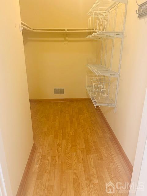 Building Photo - 303 Hampshire Ct
