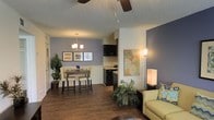 This single-floor apartment at Raintree Apartments offers an open-concept layout that integrates the living, dining, and kitchen areas into one cohesive space. Rich, dark hardwood-style flooring flows throughout, providing a warm and grounding foundation for the interior. The living area is anchored by a ceiling fan and features neutral walls accented by a bold slate-blue feature wall, adding depth and visual interest to the space. An elegant chandelier highlights the dining area, where a bistro-style table and chairs create an intimate setting beneath warm ambient lighting. The kitchen, visible from both the living and dining areas, showcases dark cabinetry with light countertops, offering a sleek contrast that enhances the modern aesthetic. A textured ceiling adds dimension overhead, while tasteful wall art and lush indoor greenery contribute to the inviting atmosphere. The open layout maximizes the sense of space, allowing natural light to filter through and creating a bright, airy environment. Overall, the apartment presents a stylish and functional design that balances contemporary finishes with a warm, welcoming ambiance.