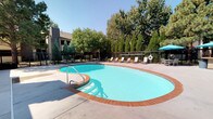 This outdoor pool area offers a well-designed recreational retreat centered around a generously sized freeform swimming pool with vivid turquoise water and a classic brick-edged coping. The pool features stainless steel entry handrails and is accessible from multiple points along the expansive concrete deck, which provides ample space for lounging and socializing.

Surrounding the pool, a collection of lounge chairs and seating arrangements are thoughtfully positioned to take advantage of natural sunlight and shade. Teal patio umbrellas provide shaded gathering spots, complemented by an outdoor kitchen station equipped with a stainless steel gas grill and counter space — ideal for outdoor entertaining.

The area is enclosed by a black metal fence that ensures safety while maintaining open sightlines to the mature trees beyond, including tall pines and slender cypress varieties that create a lush, green backdrop. A stone-clad building with a distinctive chimney tower anchors one side of the pool area, featuring French-style blue doors that add a charming architectural detail. Additional utility access doors and informational signage are also present along the building's perimeter. The overall ambiance is bright, open, and inviting, making this pool area a functional and attractive outdoor amenity.