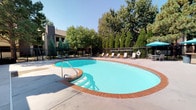 This outdoor pool area offers a well-designed recreational retreat centered around a generously sized freeform swimming pool with vivid turquoise water and a classic brick-edged coping. The pool features stainless steel entry handrails and is accessible from multiple points along the expansive concrete deck, which provides ample space for lounging and socializing.

Surrounding the pool, a collection of lounge chairs and seating arrangements are thoughtfully positioned to take advantage of natural sunlight and shade. Teal patio umbrellas provide shaded gathering spots, complemented by an outdoor kitchen station equipped with a stainless steel gas grill and counter space — ideal for outdoor entertaining.

The area is enclosed by a black metal fence that ensures safety while maintaining open sightlines to the mature trees beyond, including tall pines and slender cypress varieties that create a lush, green backdrop. A stone-clad building with a distinctive chimney tower anchors one side of the pool area, featuring French-style blue doors that add a charming architectural detail. Additional utility access doors and informational signage are also present along the building's perimeter. The overall ambiance is bright, open, and inviting, making this pool area a functional and attractive outdoor amenity.