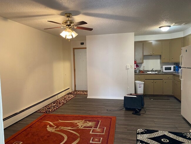 Living room/kitchen - 215 Minnesota S Ave