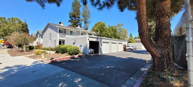 Building Photo - 3358 Santa Rita Rd