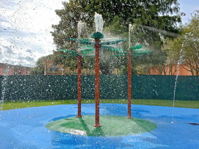 Disfruta de nuestro nuevo parque acuático - Forest Isle