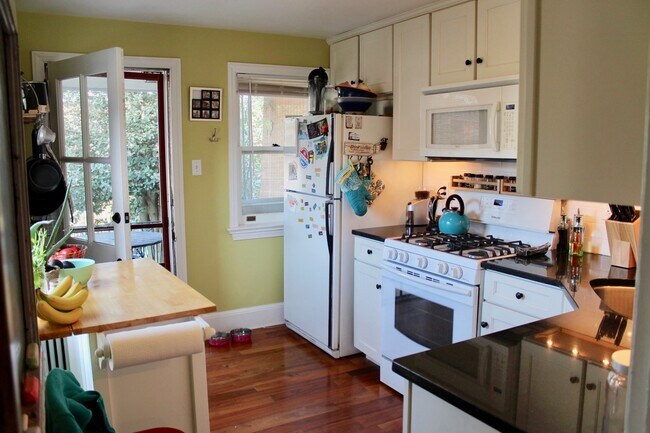 Kitchen (1st floor back) - 337 North Mary Street