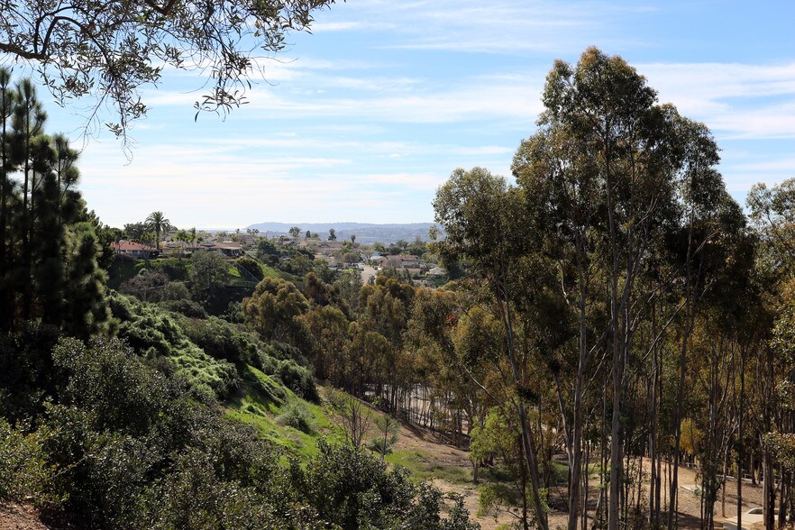 Picture of Morena San Diego