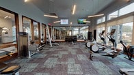 This fitness center is a spacious, thoughtfully designed facility that supports a full range of workout routines. The space is defined by soaring ceilings and expansive floor-to-ceiling windows that flood the interior with natural light while offering views of the outdoor pool area and surrounding landscape. Linear pendant lighting complements the natural light, ensuring the space remains bright and well-illuminated throughout.

The cardio zone is positioned along the windowed wall and features multiple treadmills, elliptical machines, and stationary bikes, all equipped with individual digital displays. A large wall-mounted mirror runs along one side of the room, visually expanding the space and allowing for form monitoring during workouts. Mounted flat-screen televisions provide entertainment throughout the facility.

The strength training area includes a cable machine, a multi-function weight rack, a dedicated free weight section with a full dumbbell rack, and a weight bench. The flooring throughout consists of durable, patterned carpet tiles in muted teal and grey tones that add a modern aesthetic while providing comfort underfoot.

Wood-trimmed glass walls and doors on one side of the room introduce warmth and offer visual connectivity to adjacent spaces. Overall, the fitness center presents a clean, modern, and well-appointed environment suited for comprehensive daily training.