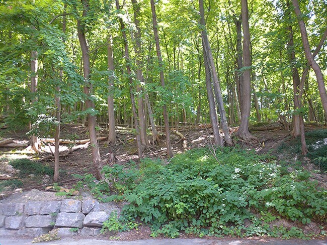 Building Photo - 7/1/26 Bright and Spacious Apartment Close...