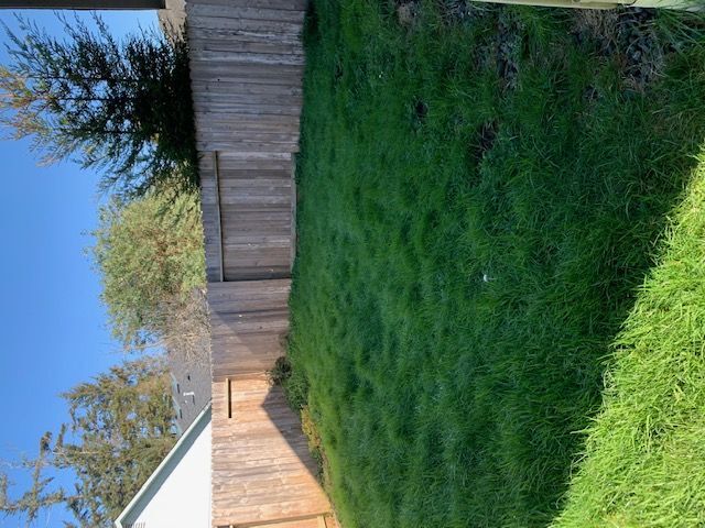 Building Photo - 1455 Chickadee Court A