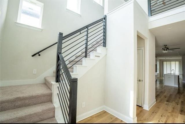 Building Photo - 10950 Downy Cup Dr