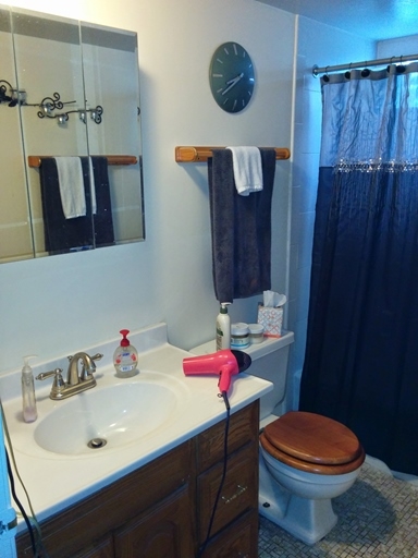 Bathroom - 12 E 58th St