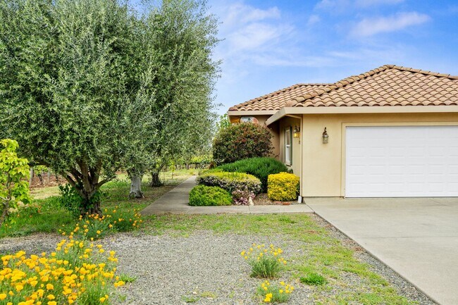 Building Photo - 2 bdrm 2 bath ADU w/ Vineyard views