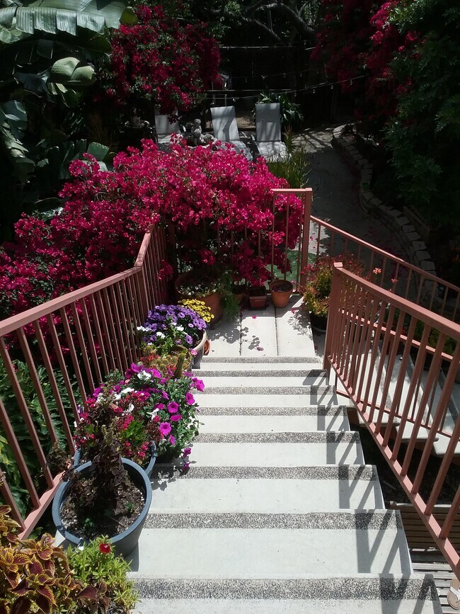 Stairs (from Owner unit) - 1350 S Ridgeley Dr