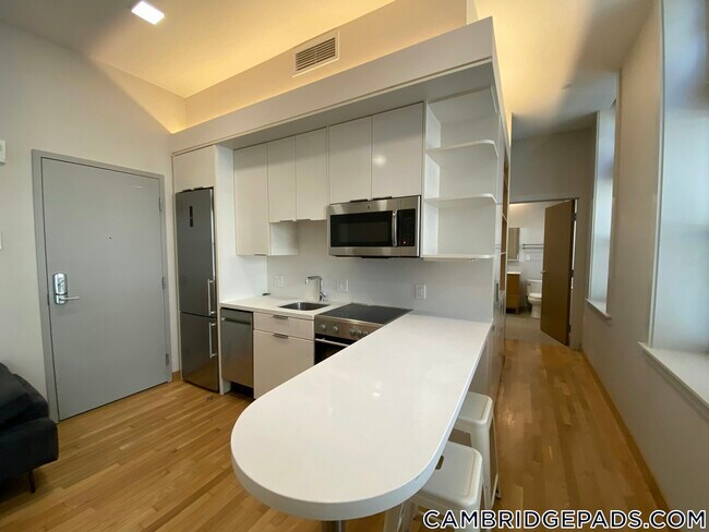 Building Photo - 115 Mt Auburn St