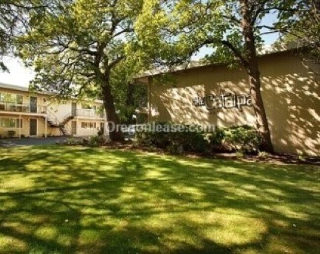 Foto del edificio - One bed one bath apartment near downtown