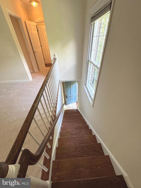 Building Photo - 3538 Martha Custis Dr