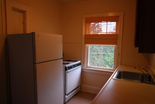 Kitchen - 3102 Troy Ave