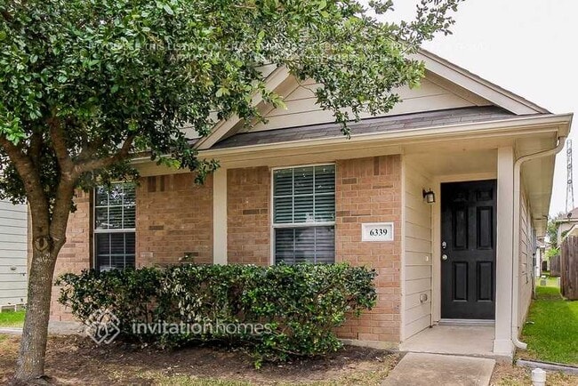 Building Photo - 6339 Mountain Pines Ln